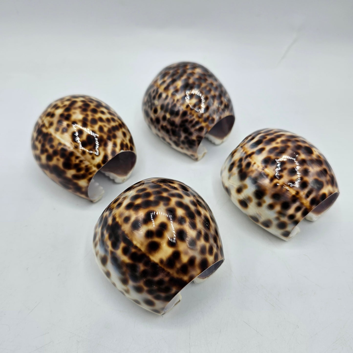 Cowrie Shell Napkin Rings - Set of 4
