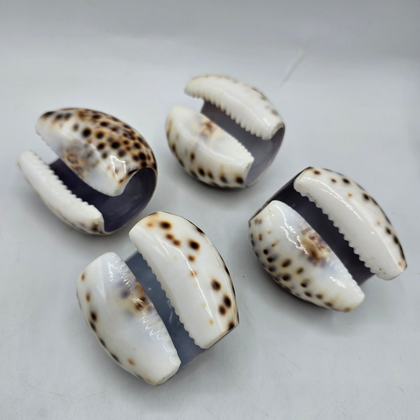 Cowrie Shell Napkin Rings - Set of 4
