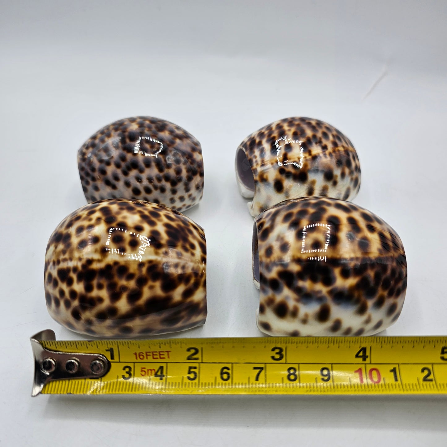 Cowrie Shell Napkin Rings - Set of 4