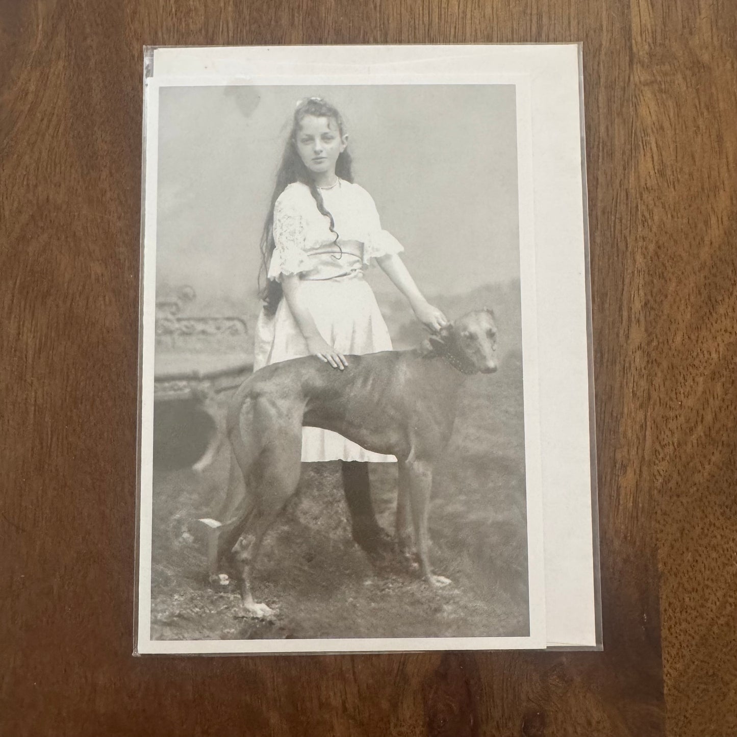 Young Girl in Field With Greyhound Dog - Greeting Card #D-78