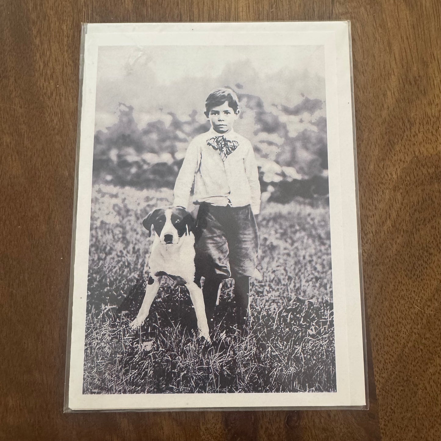 Boy and Dog in Field - Greeting Card #A-01