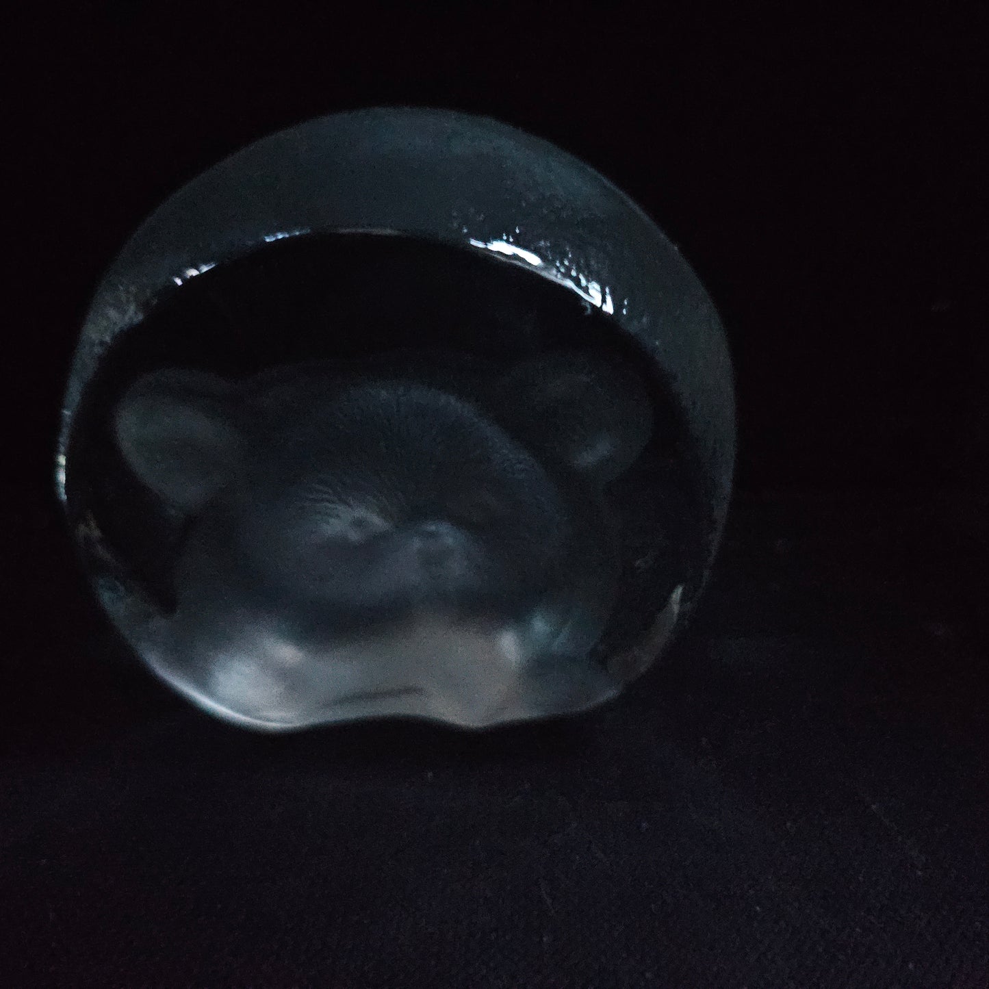 Bear Face Glass Paperweight 3.5"