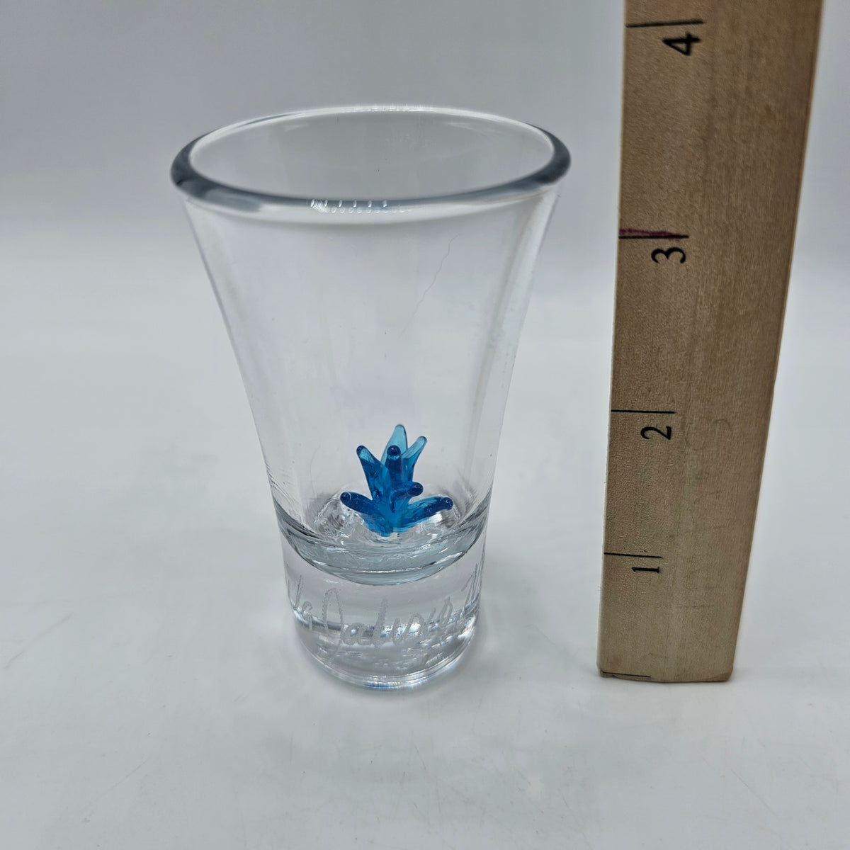 Tequila Jalisco, Mexico Etched Shot Glass with Blue Glass Agave Cactus Inside