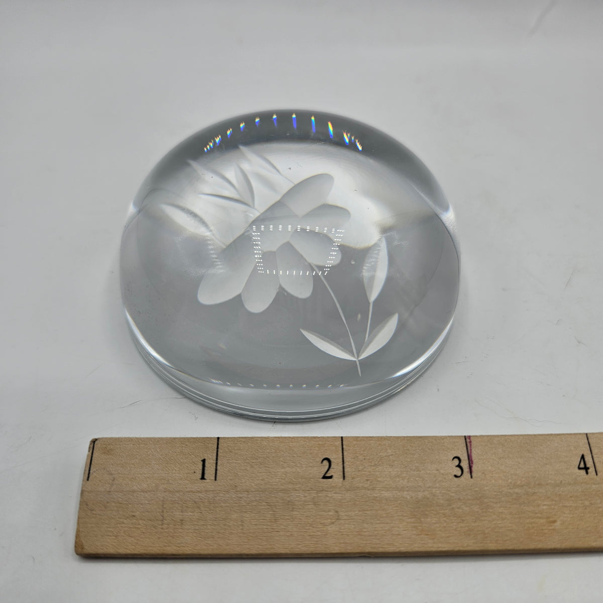 Etched Flower Magnifying Glass Domed Paperweight