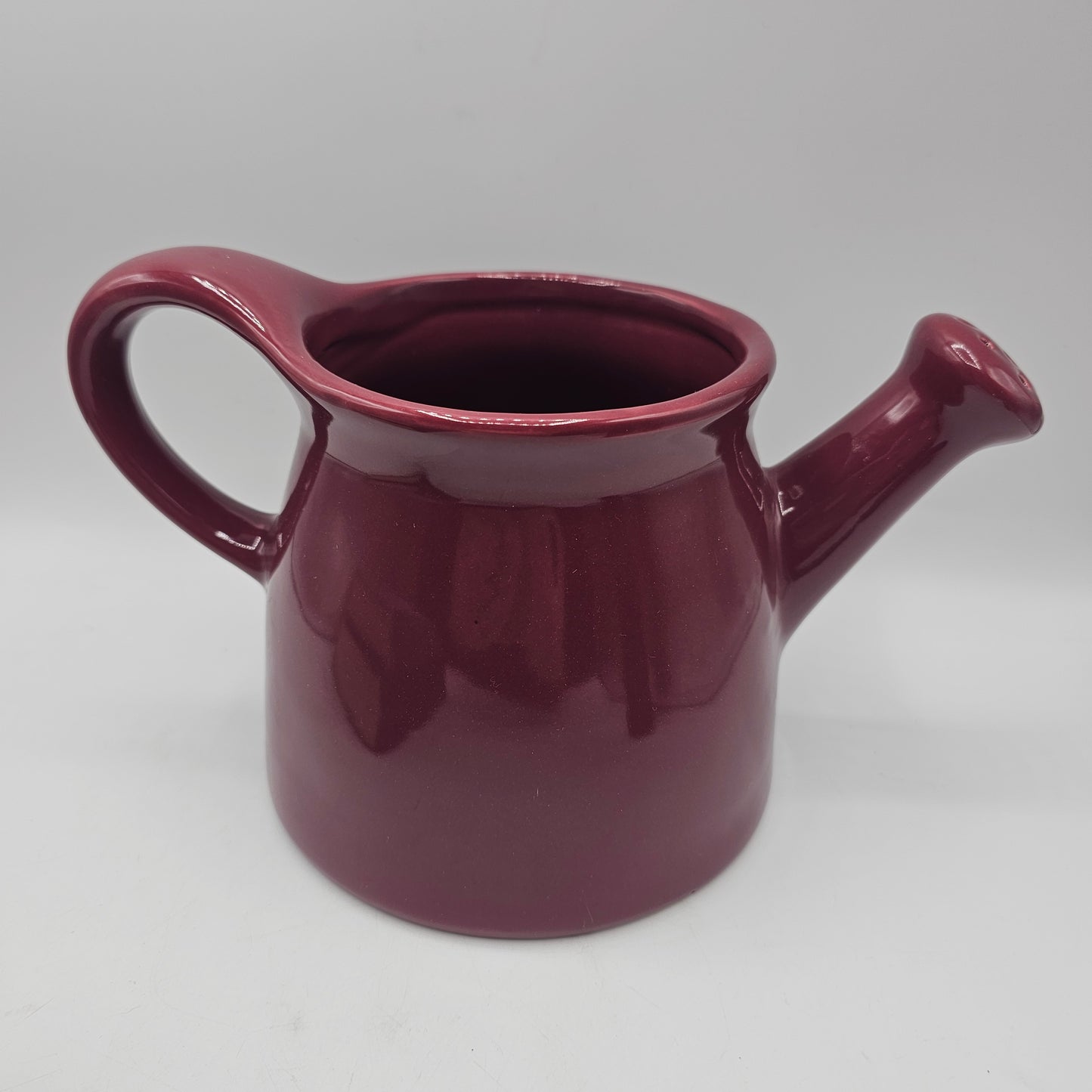 Rae Dunn Purple Ceramic Beware Watering Can Pitcher