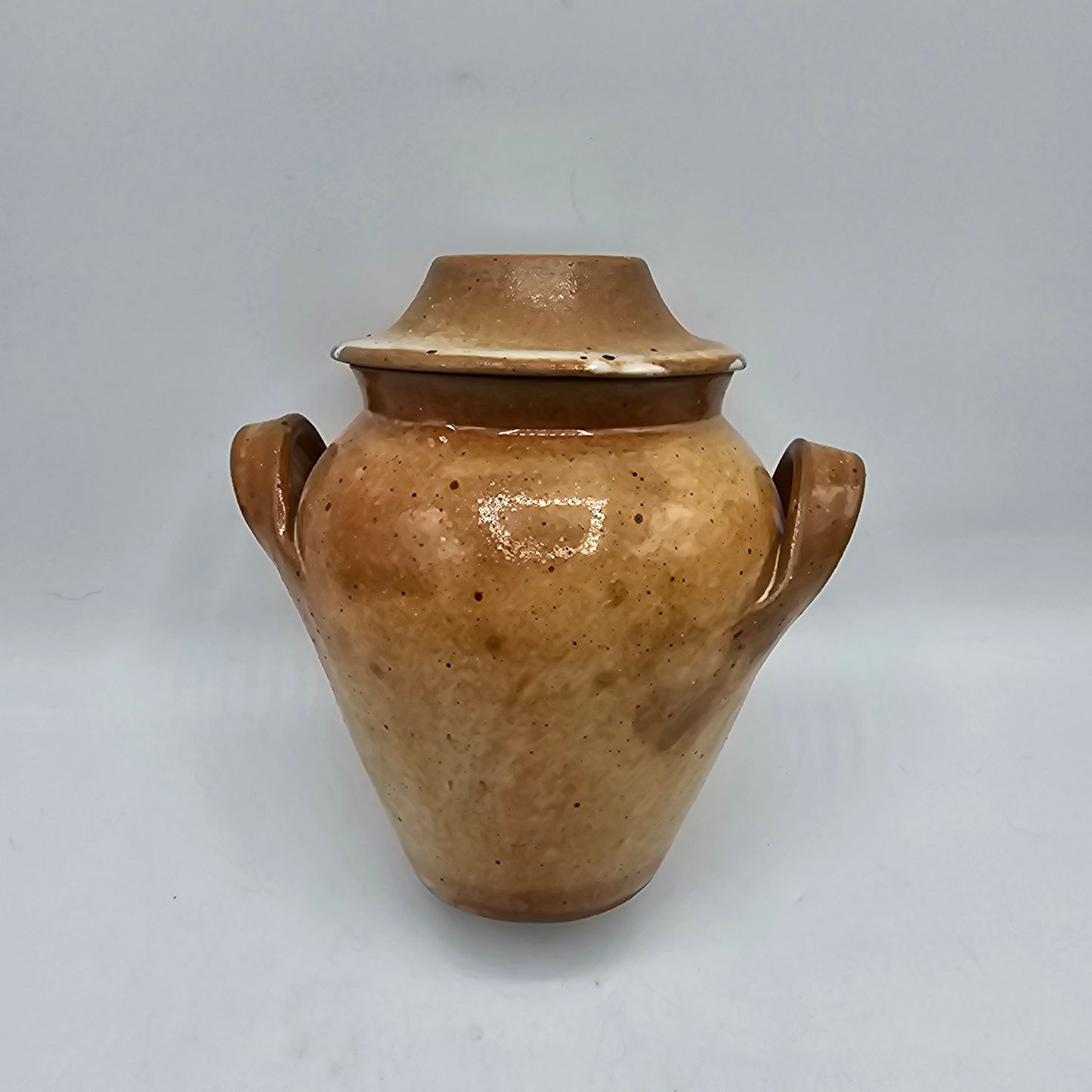 "Los Oignons" Glazed Pottery Lidded Jar with Onion Design - 5.5" tall