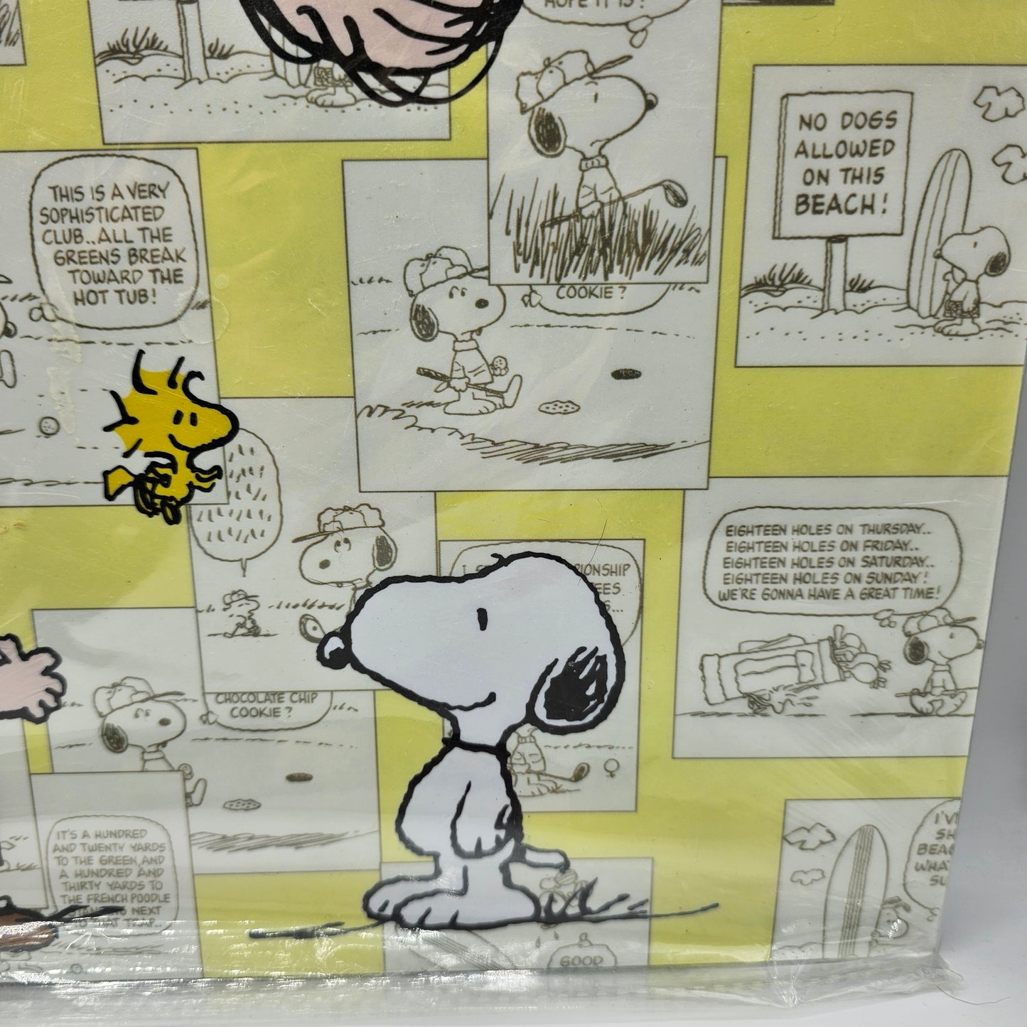 Snoopy Peanuts Plastic Placemats - Golf and Surf Themed - Set of 4