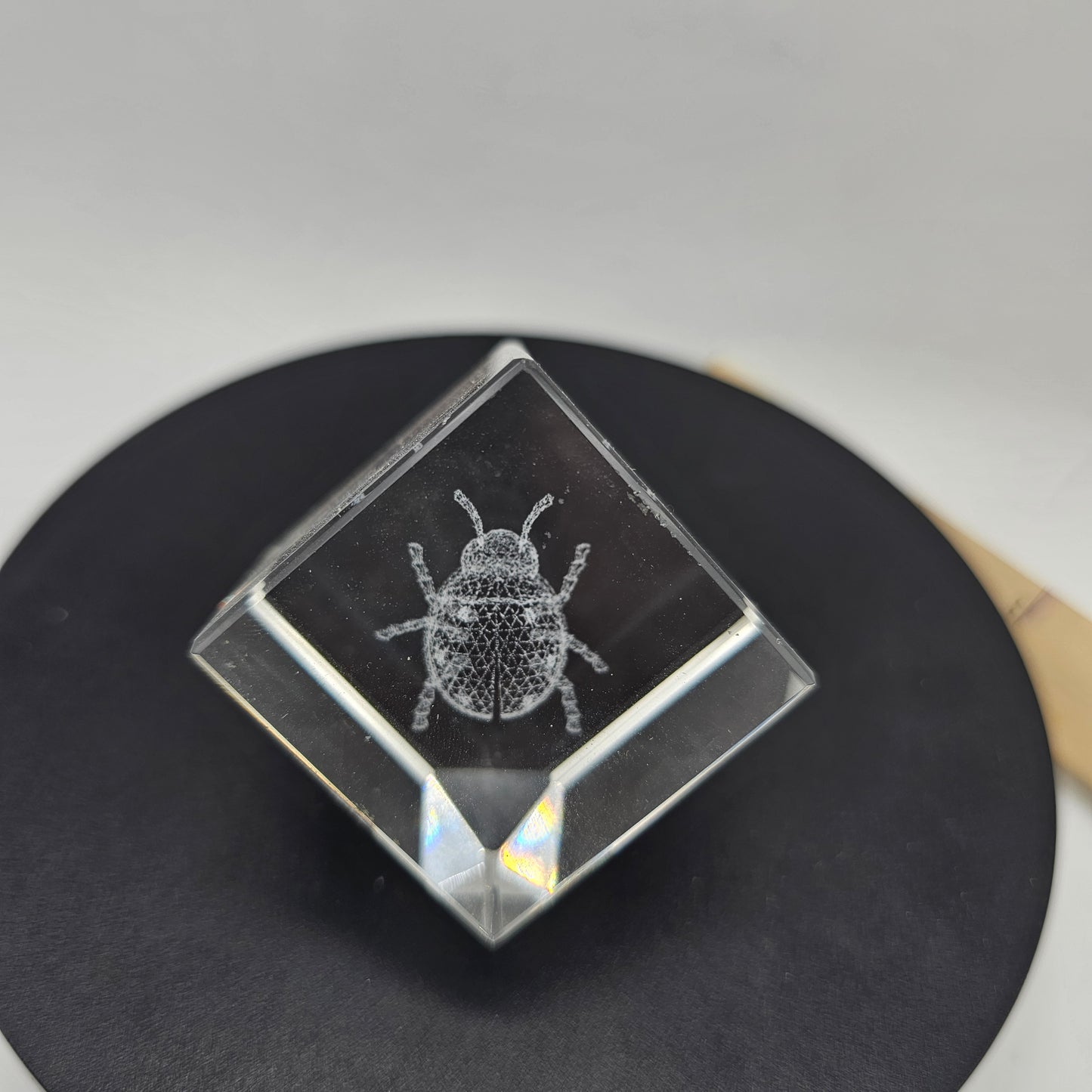 3D Crystal Glass Paperweight with Laser Etched Ladybug Design