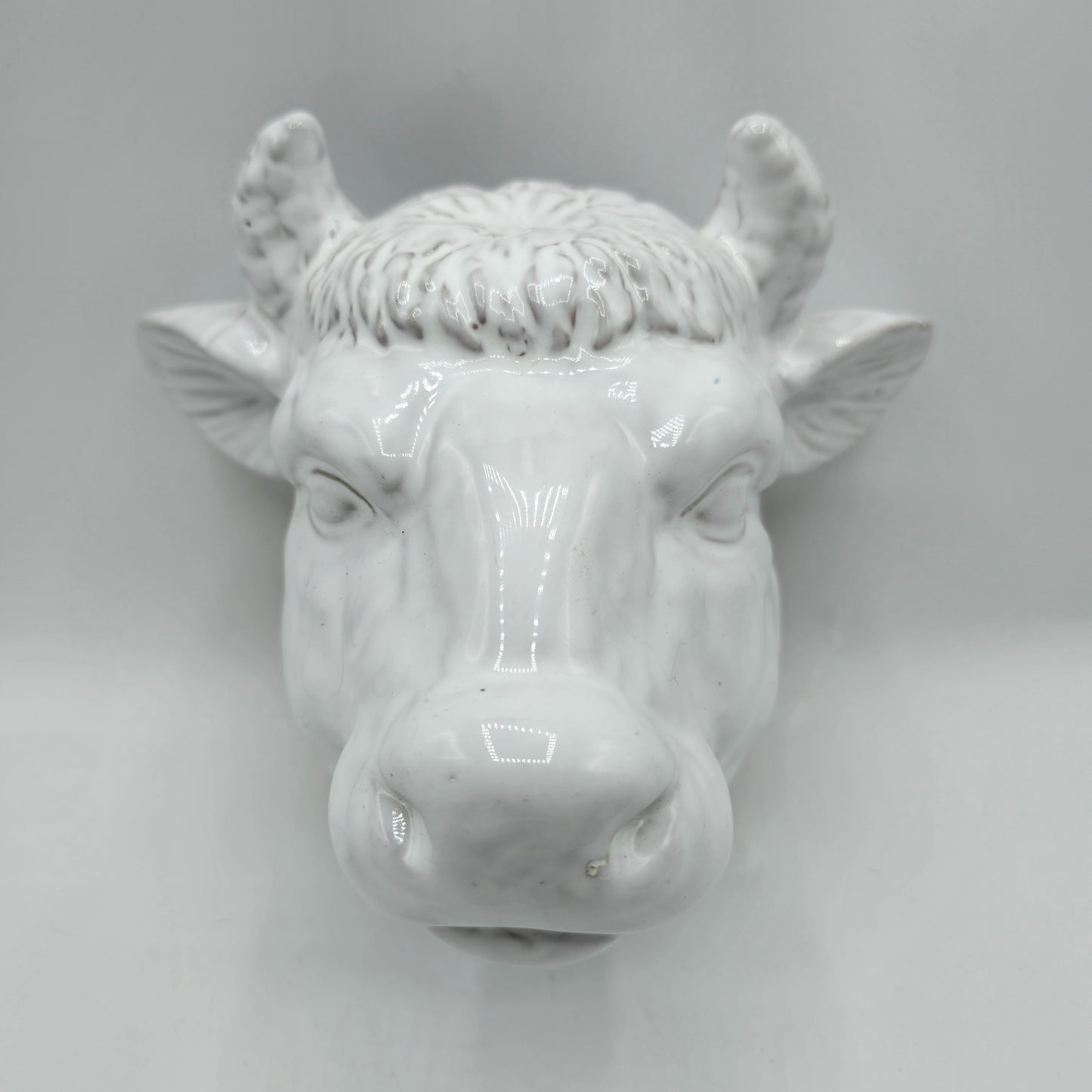 Glazed White Ceramic Bull Head Wall Pocket