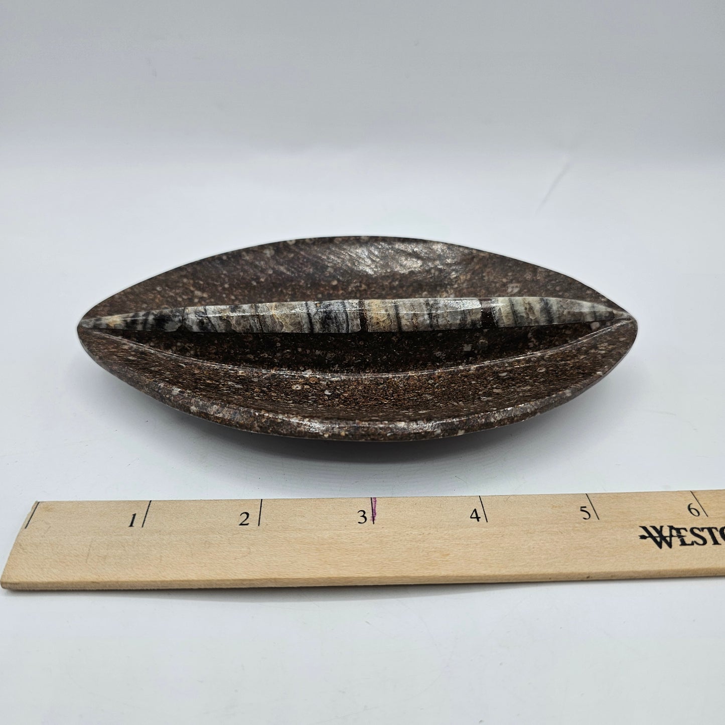 Polished Orthoceras Fossil Divided Trinket Dish