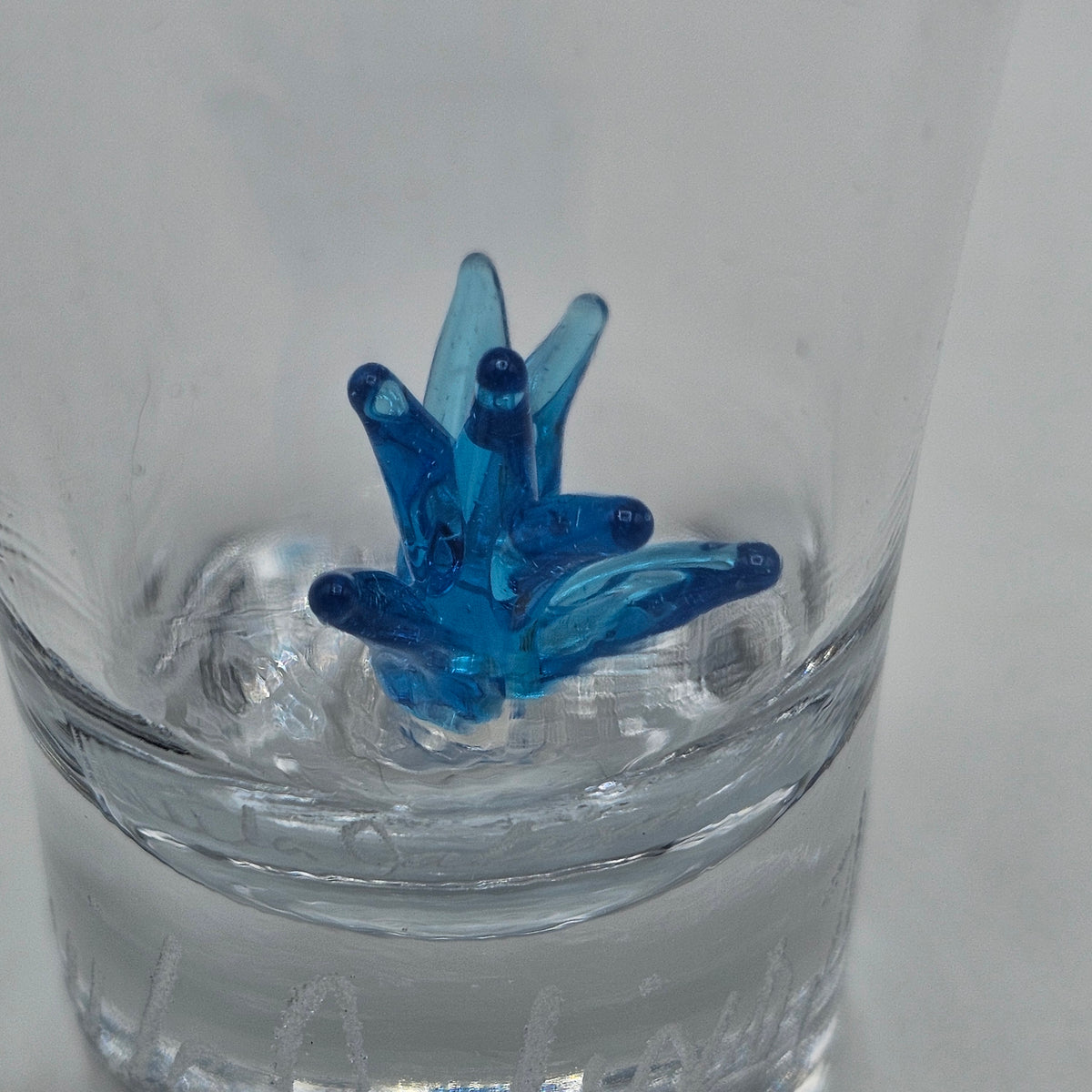 Tequila Jalisco, Mexico Etched Shot Glass with Blue Glass Agave Cactus Inside