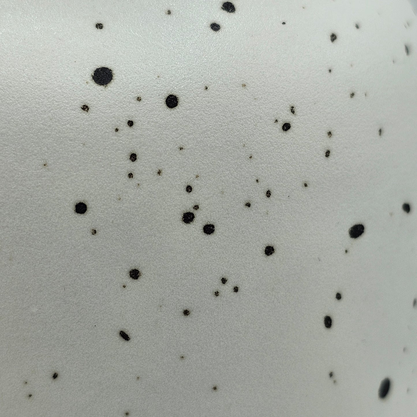 Black Speckled White Vase