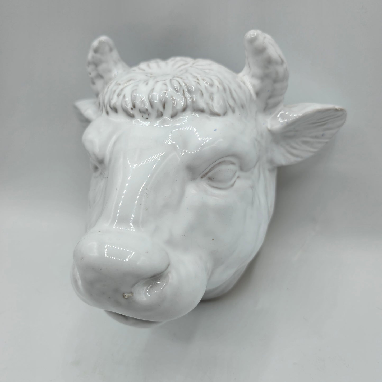 Glazed White Ceramic Bull Head Wall Pocket