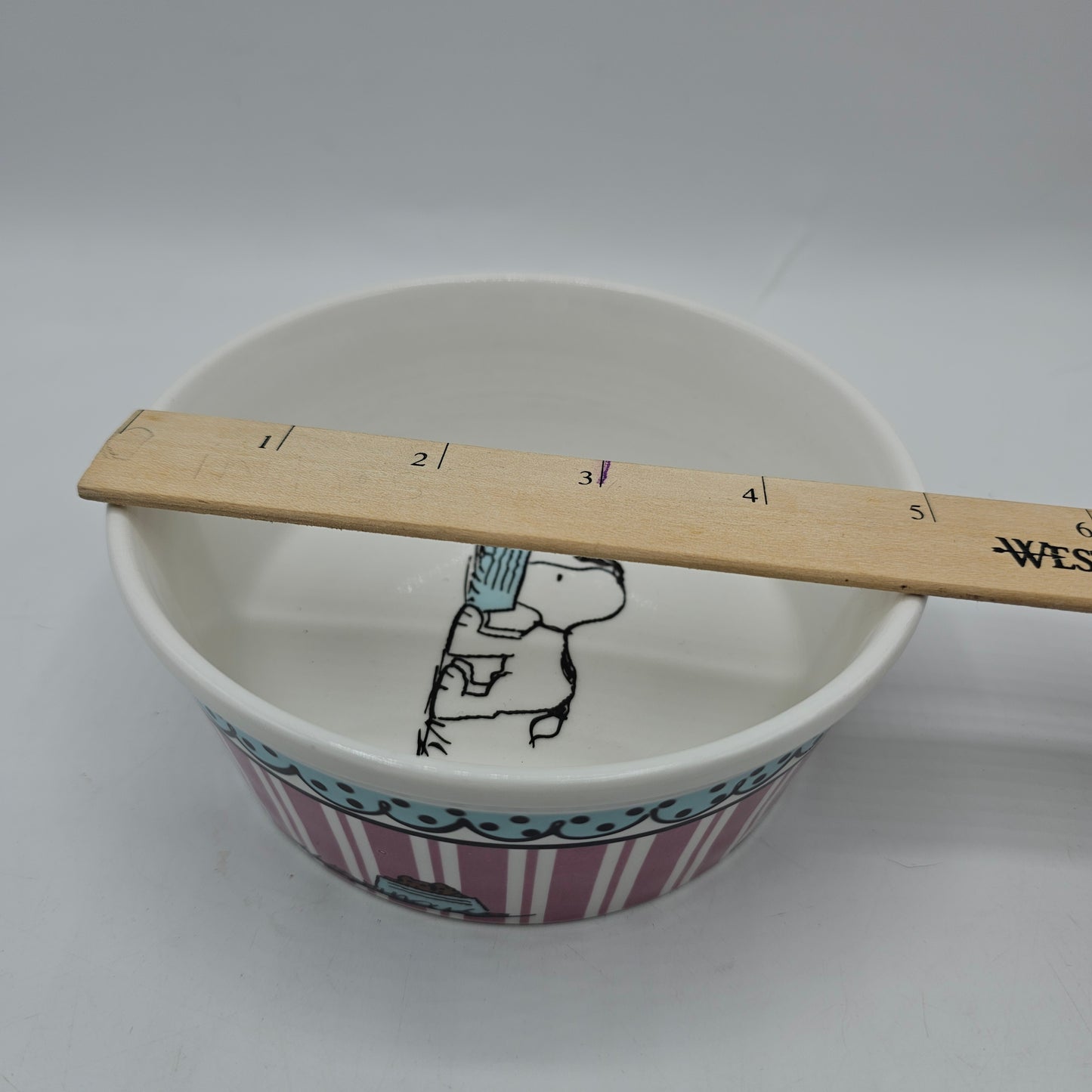 Snoopy Peanuts Ceramic Dog, Cat or Small Pet Bowl