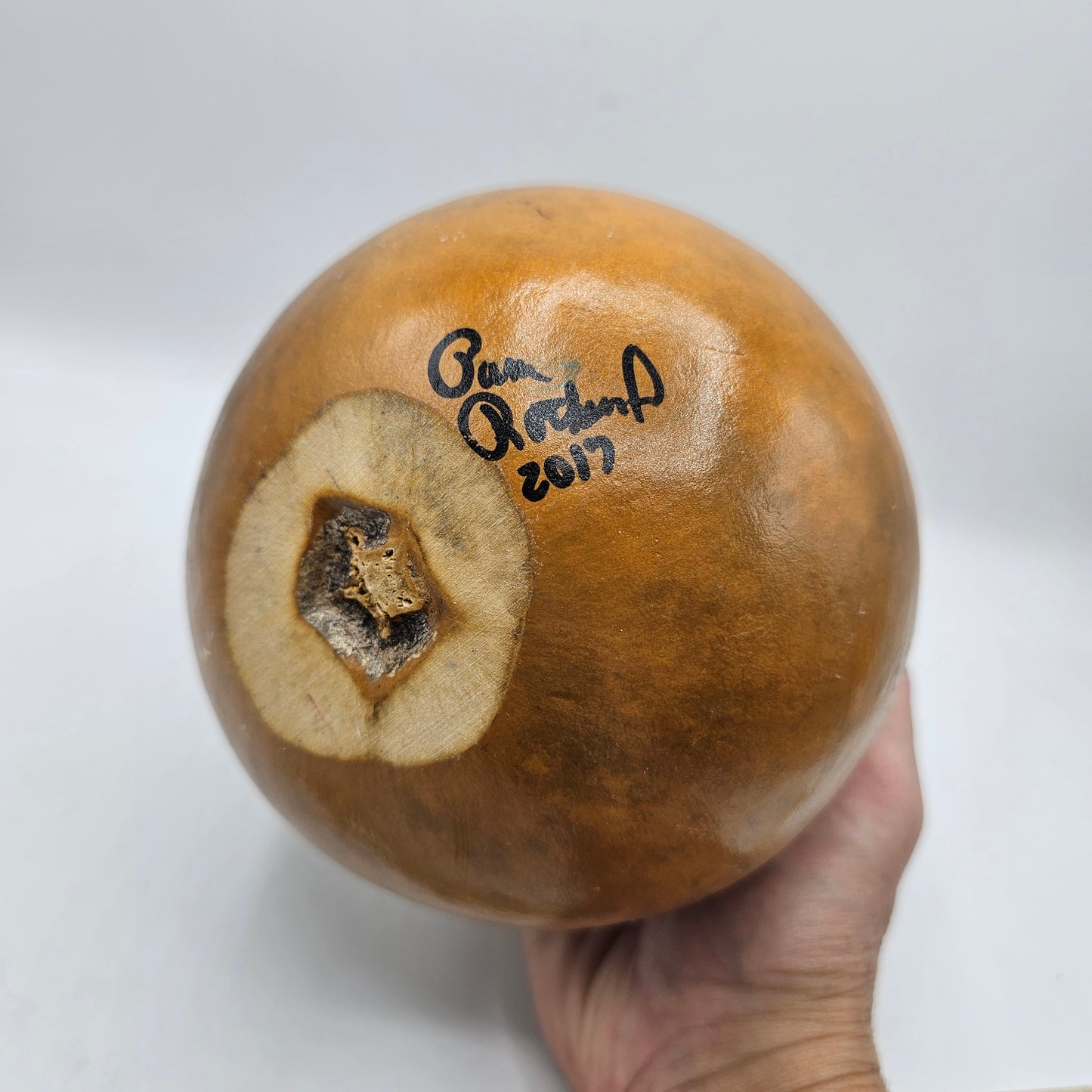 Carved, Painted and Signed Gourd Vase with Dragonfly and Bull Rushes