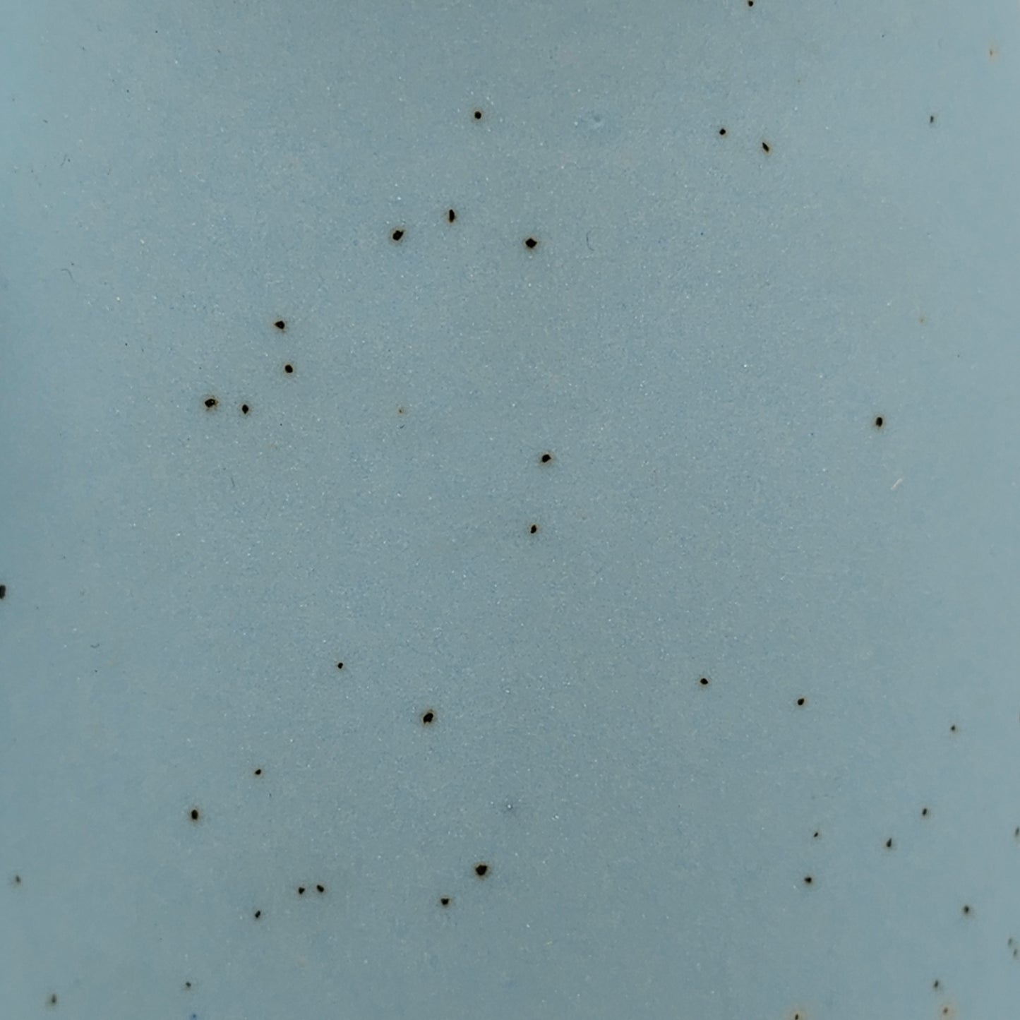 Robin's Egg Blue Speckled Satin Finish Mug