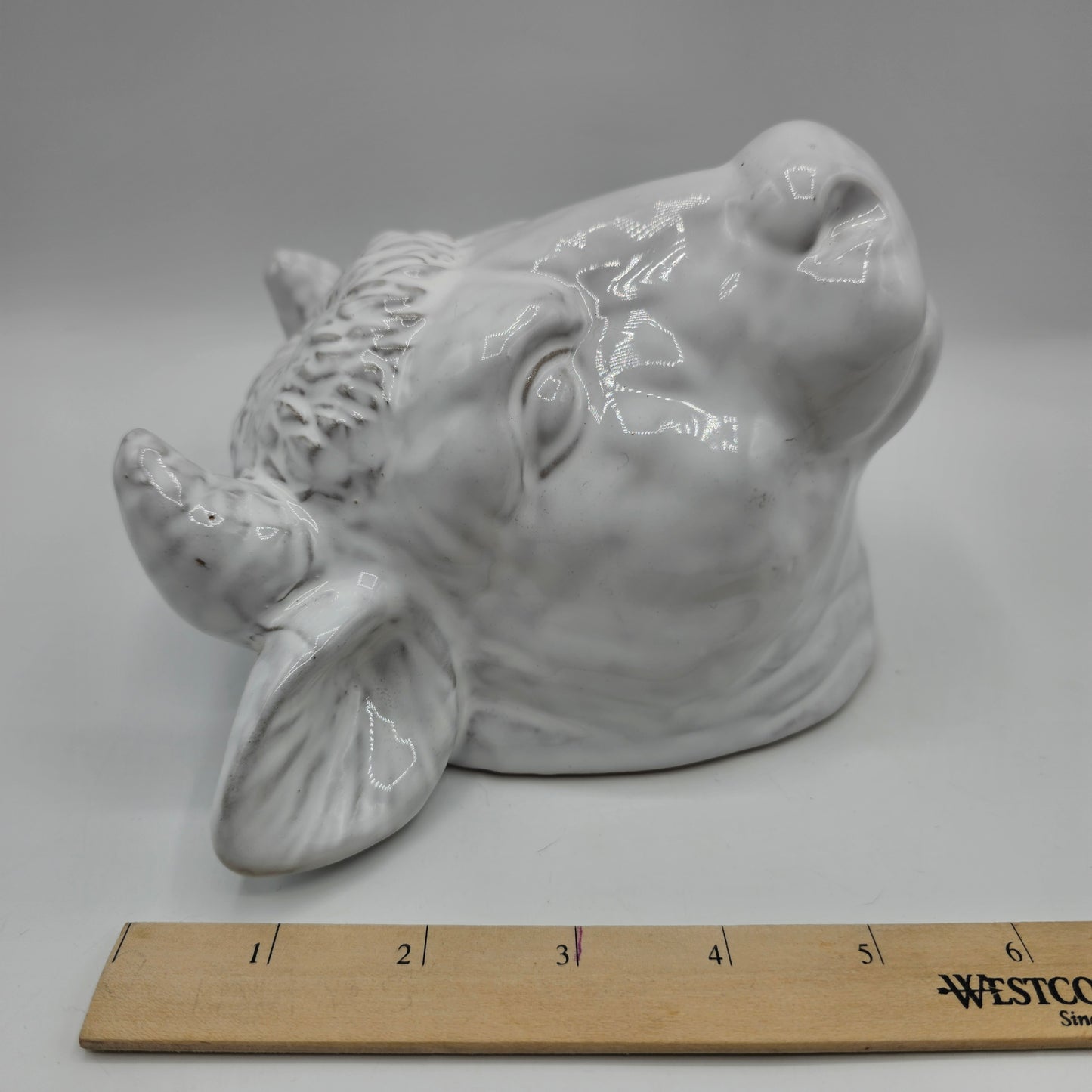 Glazed White Ceramic Bull Head Wall Pocket