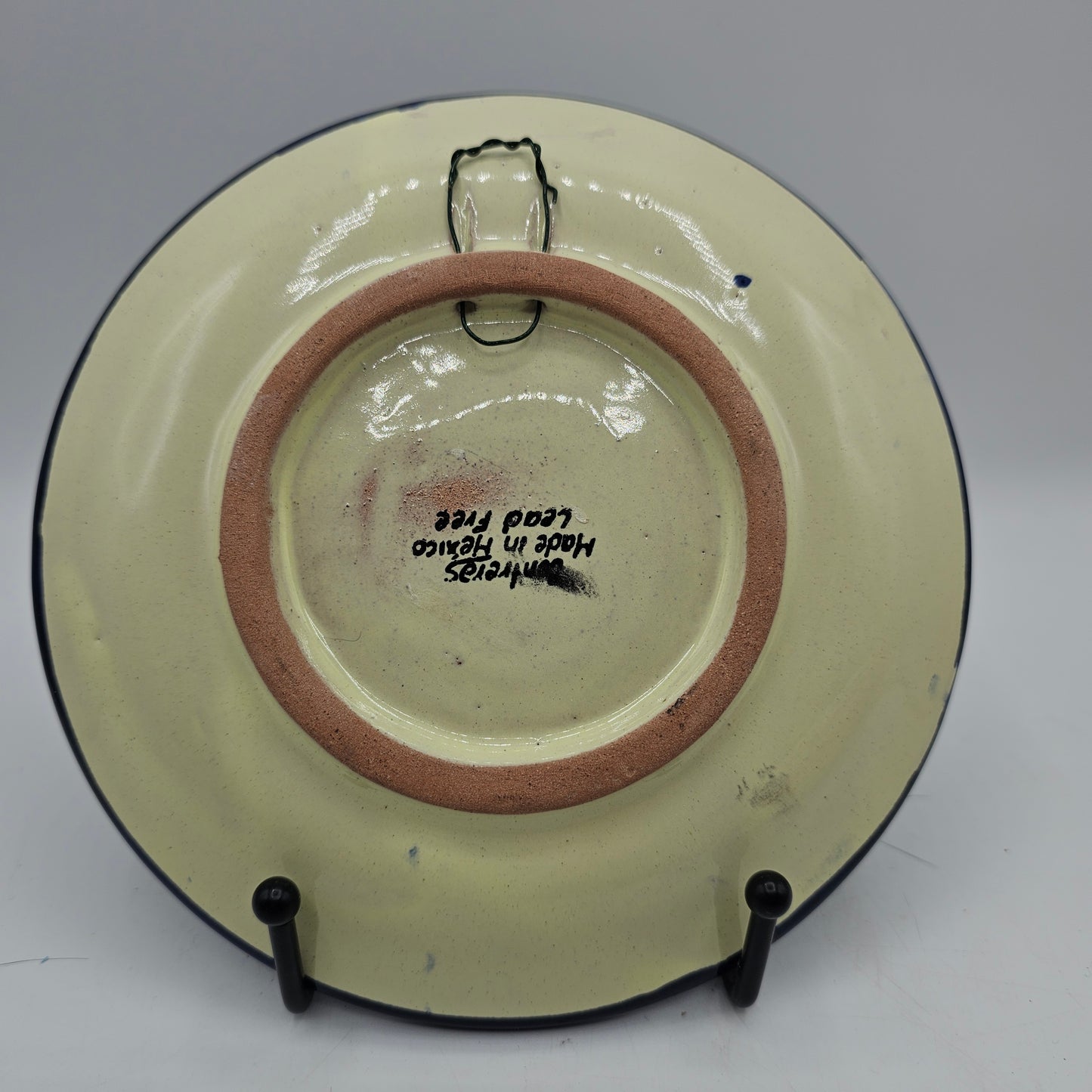 Artisan Signed Mexican Pottery Day of the Dead Decorative Dog Plate by Contreras (Ready to Hang)