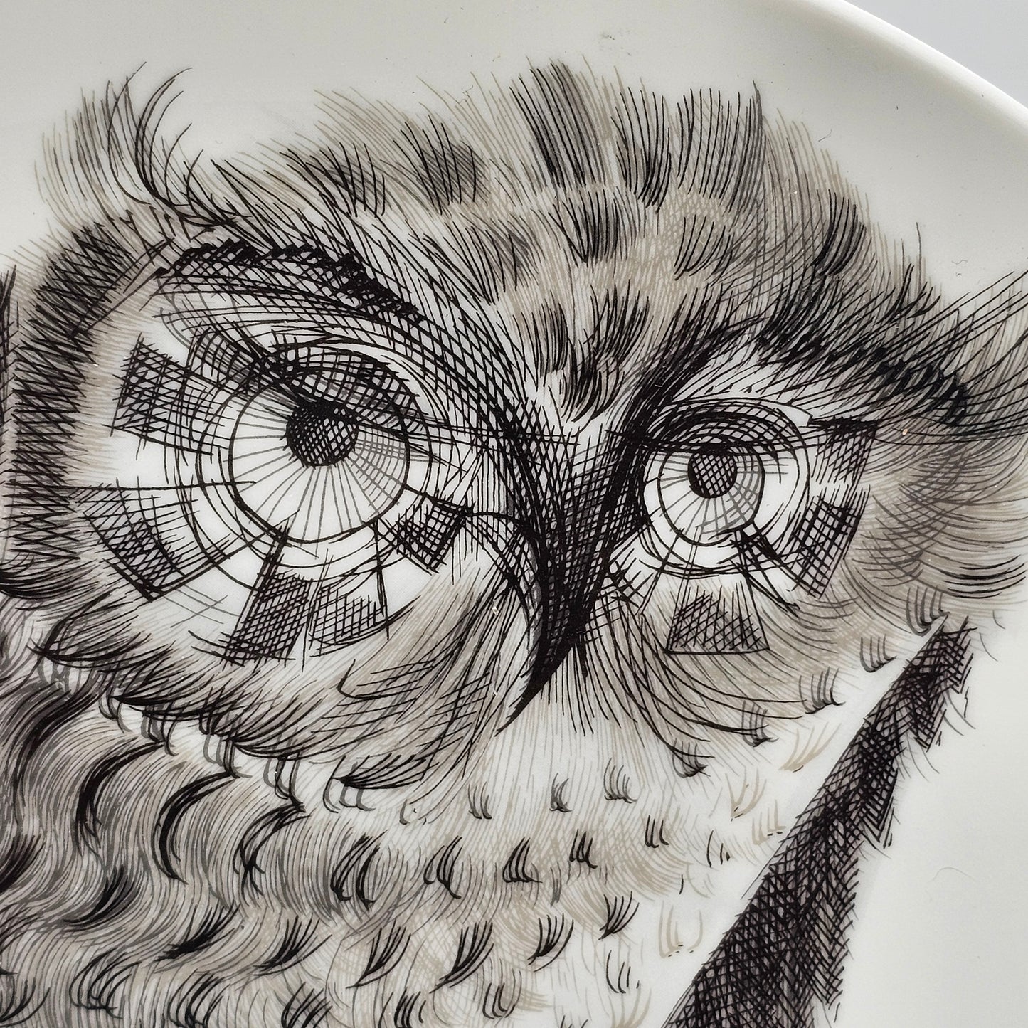 Limoges Haviland Plate with Pen and Ink Sketch Style Owl Design by Roche Popelier