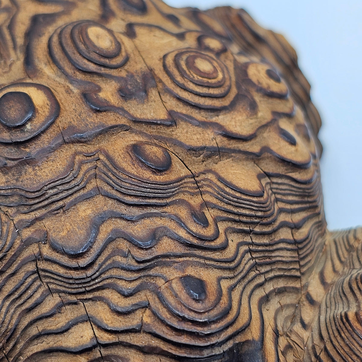 Carved Cryptomeria Wooden Frog or Toad Figurine