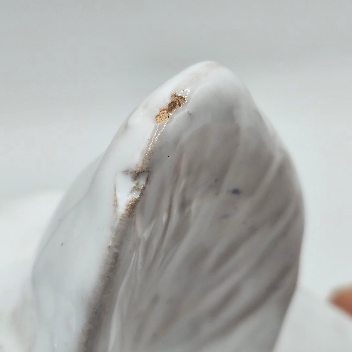 Glazed White Ceramic Bull Head Wall Pocket