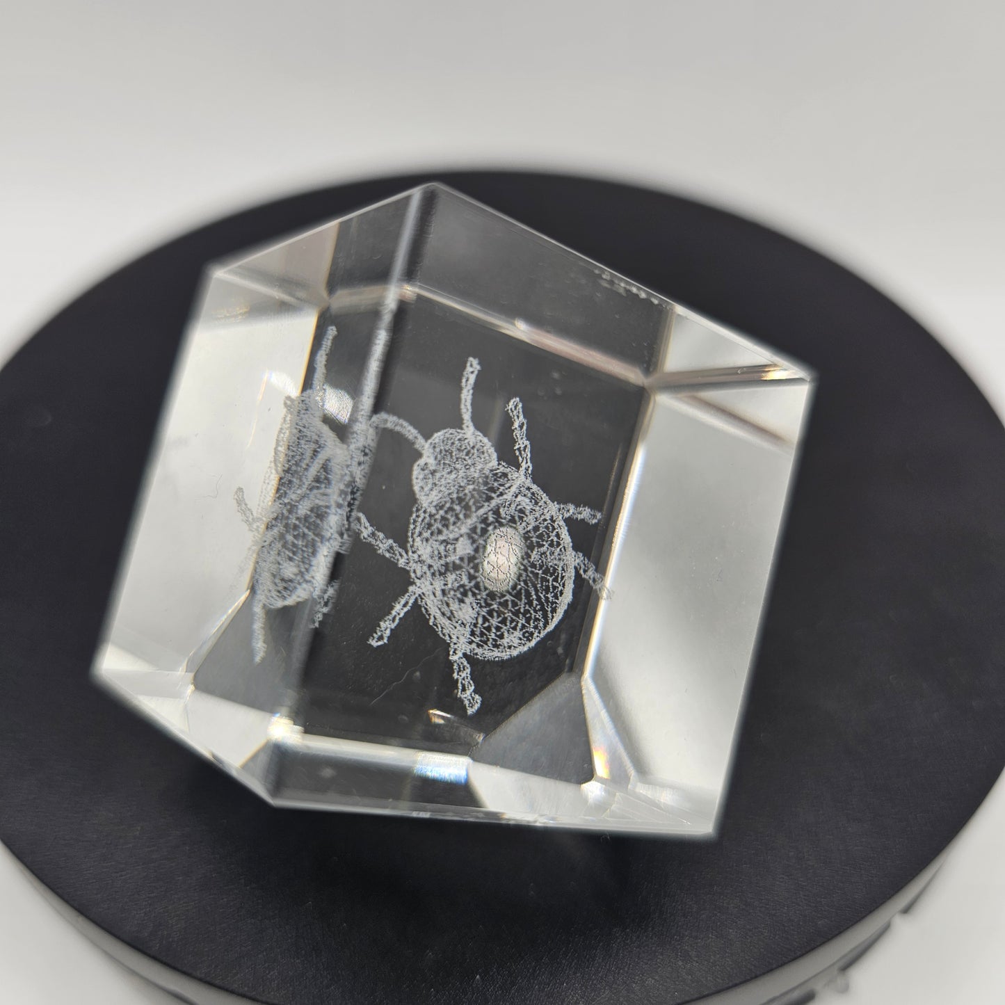 3D Crystal Glass Paperweight with Laser Etched Ladybug Design
