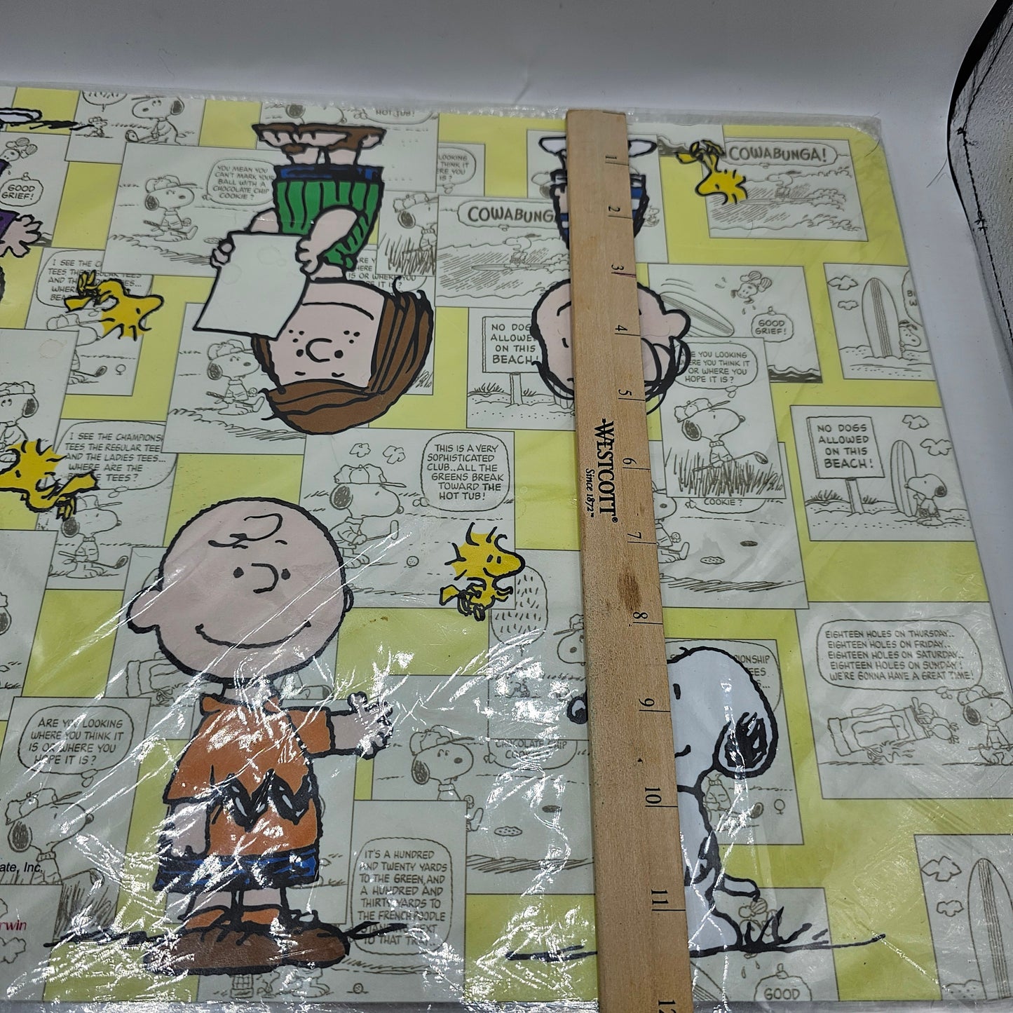 Snoopy Peanuts Plastic Placemats - Golf and Surf Themed - Set of 4