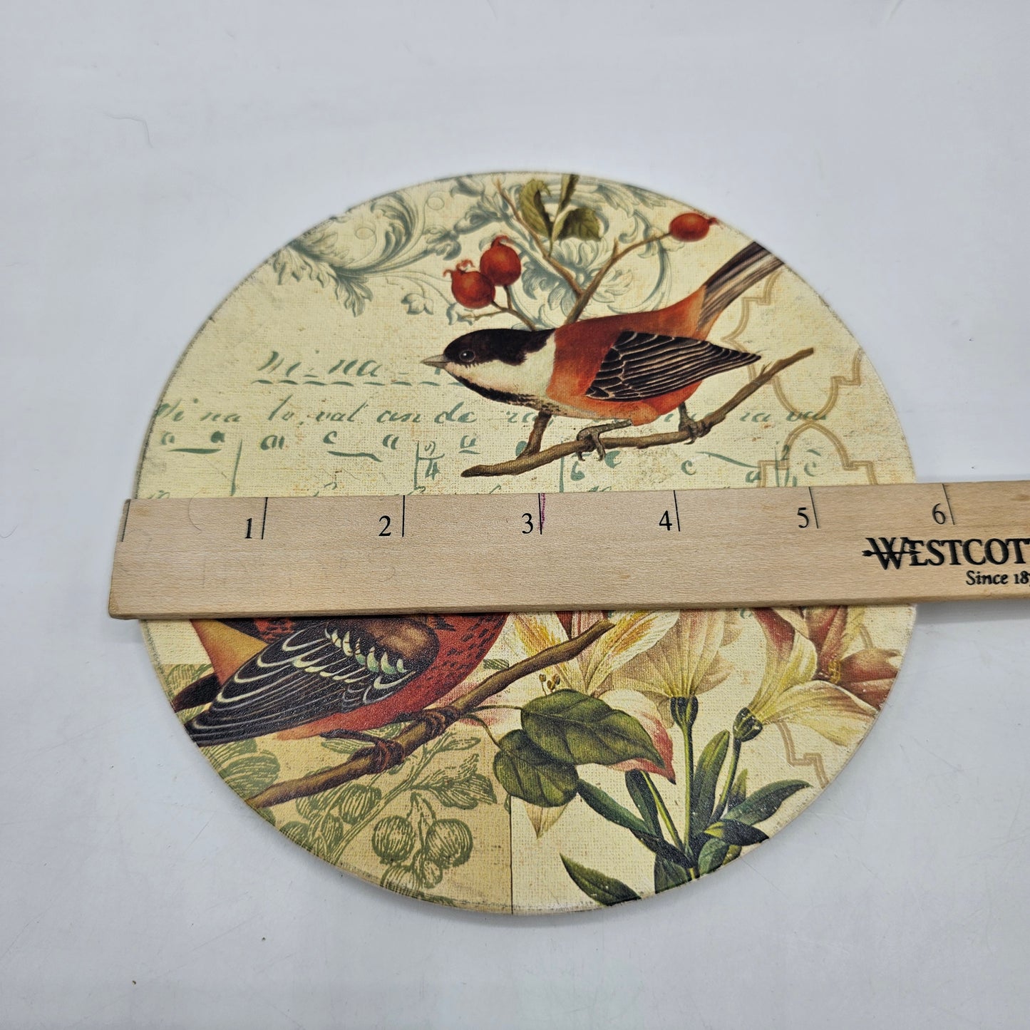 Round Thirstystone Kitchen Trivet / Hot Plate with Birds