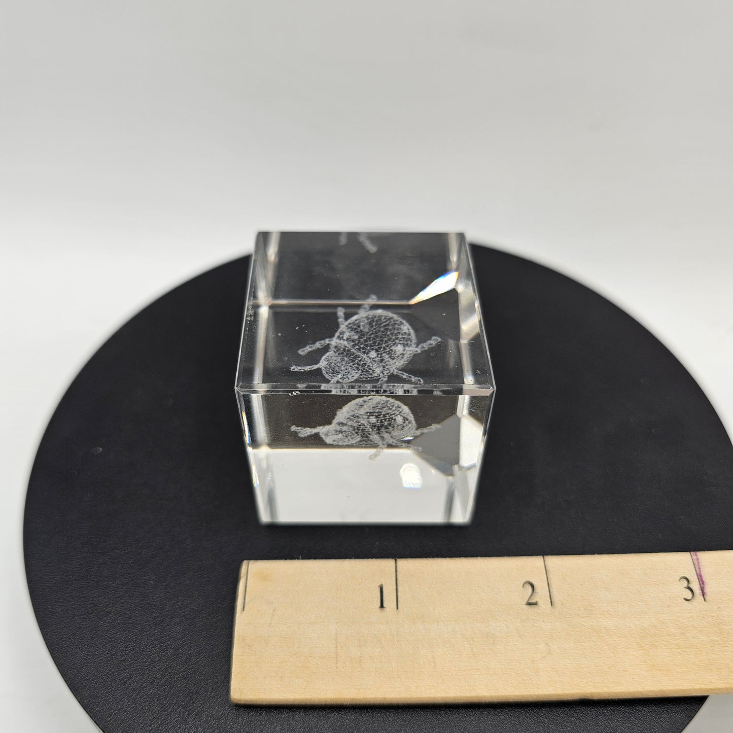 3D Crystal Glass Paperweight with Laser Etched Ladybug Design