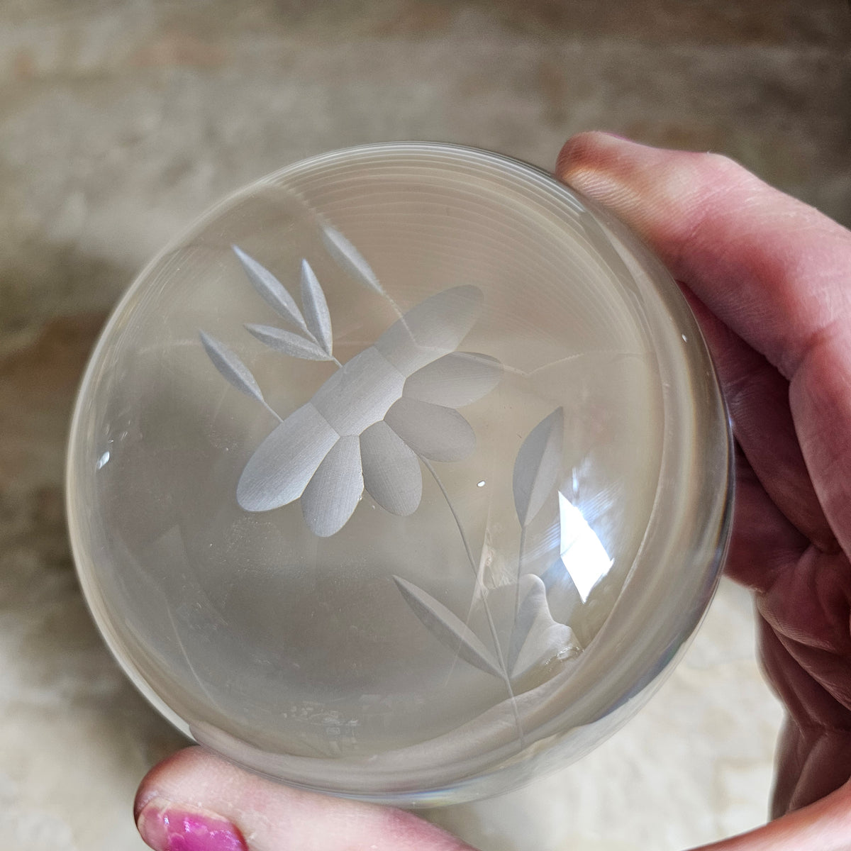 Etched Flower Magnifying Glass Domed Paperweight