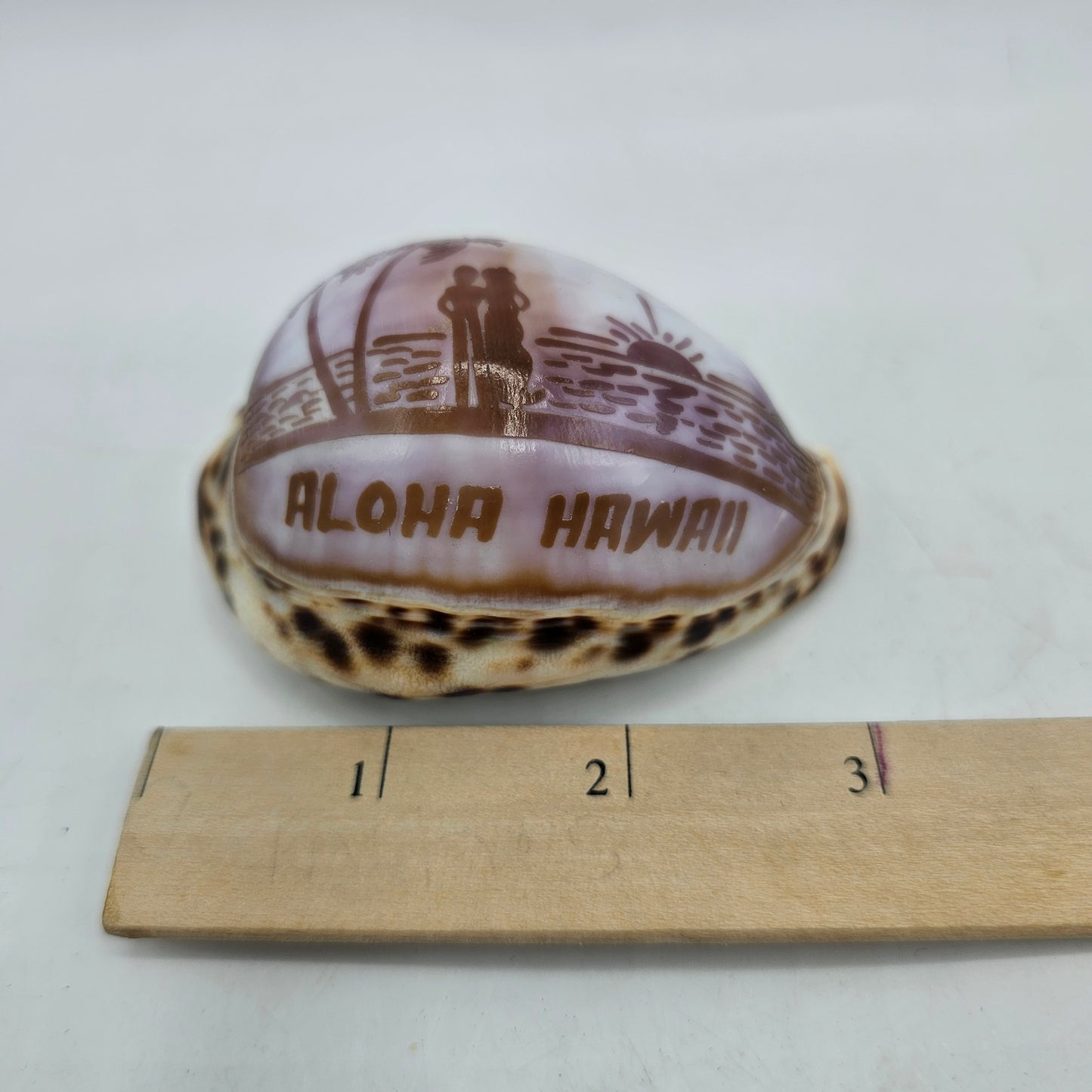 Aloha Hawaii Carved Etched Cowrie Shell