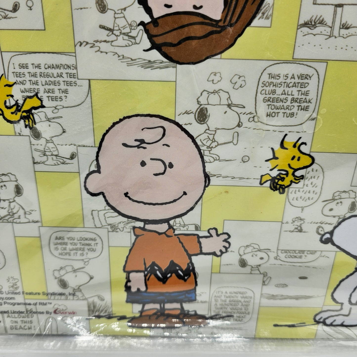 Snoopy Peanuts Plastic Placemats - Golf and Surf Themed - Set of 4