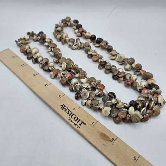 Vintage Hawaiian Lei Necklace made of Umbonium Snail Shells in Various Natural Colors