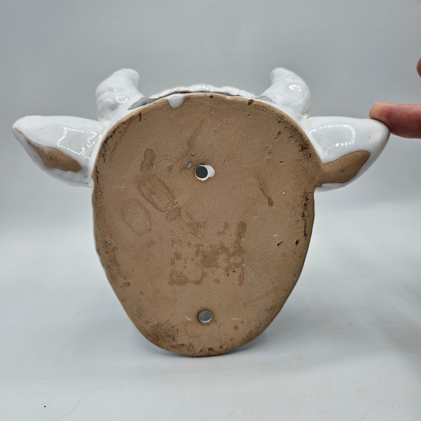 Glazed White Ceramic Bull Head Wall Pocket