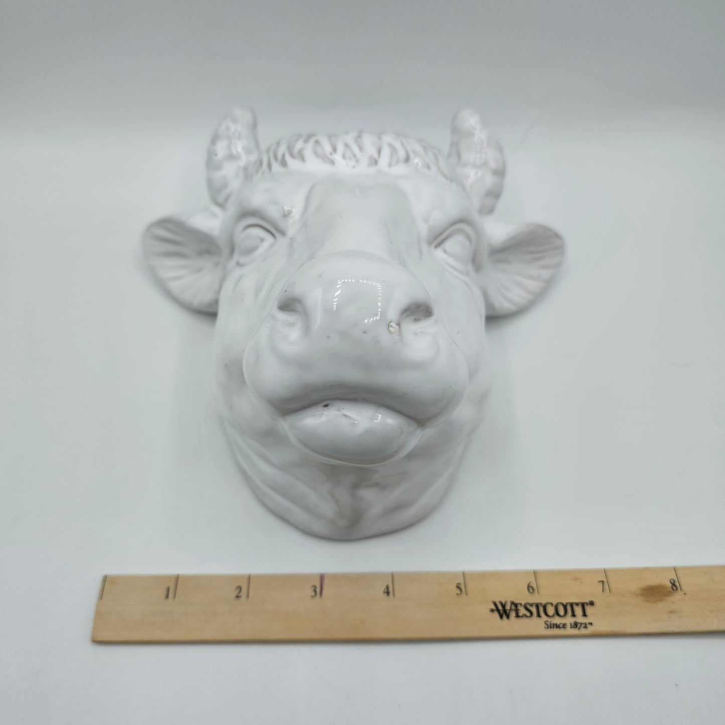 Glazed White Ceramic Bull Head Wall Pocket