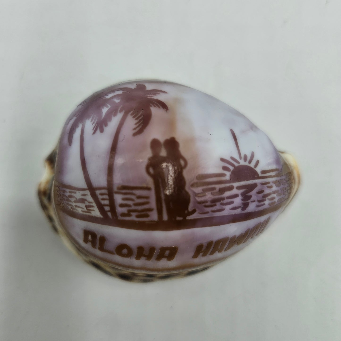 Aloha Hawaii Carved Etched Cowrie Shell