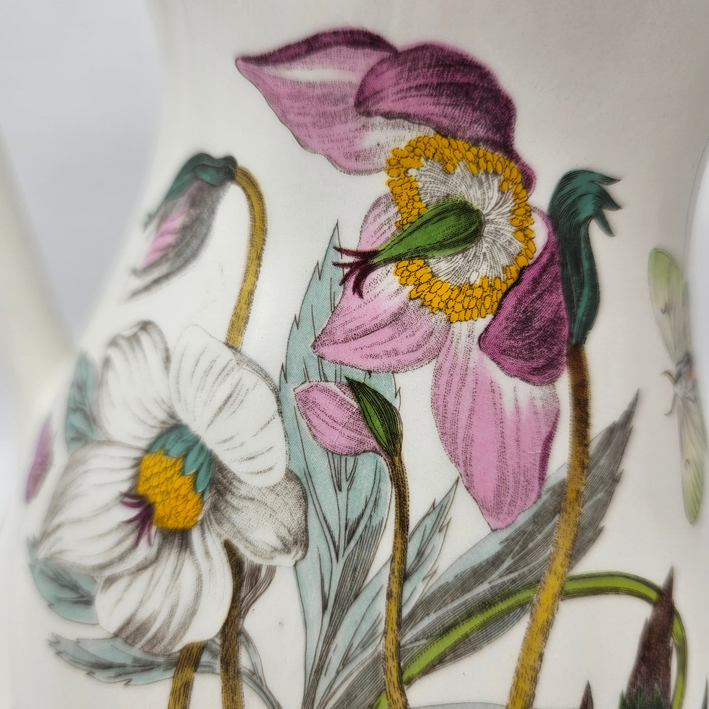 Portmeirion Serving Pitcher or Jug - The Botanic Garden Collection with Floral, Butterflies and Moths Design