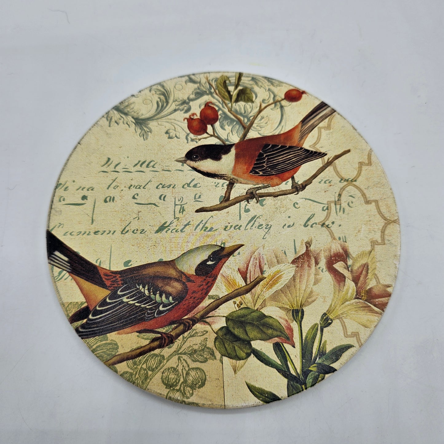 Round Thirstystone Kitchen Trivet / Hot Plate with Birds
