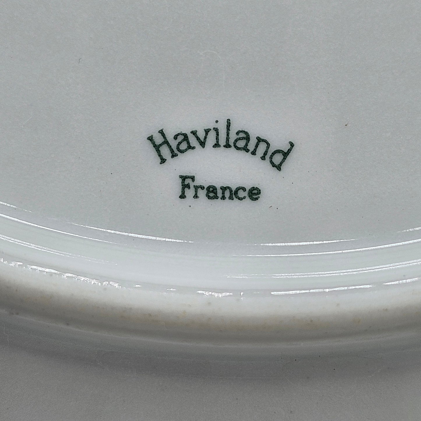 Limoges Haviland Plate with Pen and Ink Sketch Style Owl Design by Roche Popelier