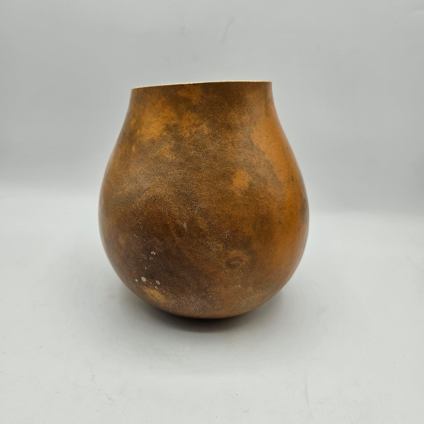 Carved, Painted and Signed Gourd Vase with Dragonfly and Bull Rushes